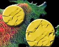 Study Shows Nanoshells Ideal As Chemical Nanosensors
