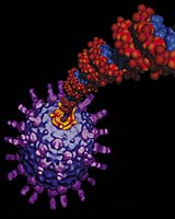Nano World: DNA Meets Nanotechnology