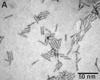 Gold-Tipped Nanocrystals Developed By Hebrew University