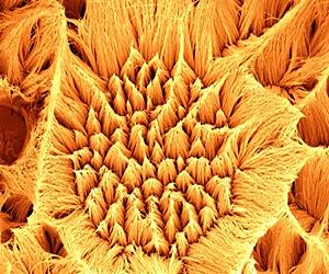 Novel Nanowires Boost Fuel Cell Efficiency
