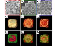 Carrying and releasing nanoscale cargo with 'nanowrappers'