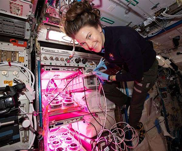 NASA EXPRESS Racks achieve 1 million hours of service on ISS