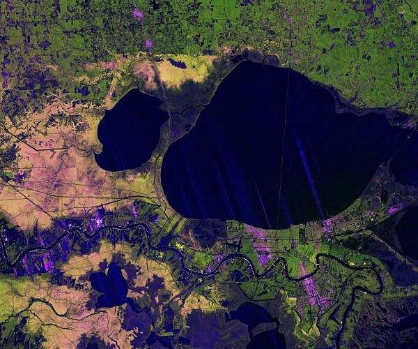 NISAR radar view maps surface changes in Mississippi Delta