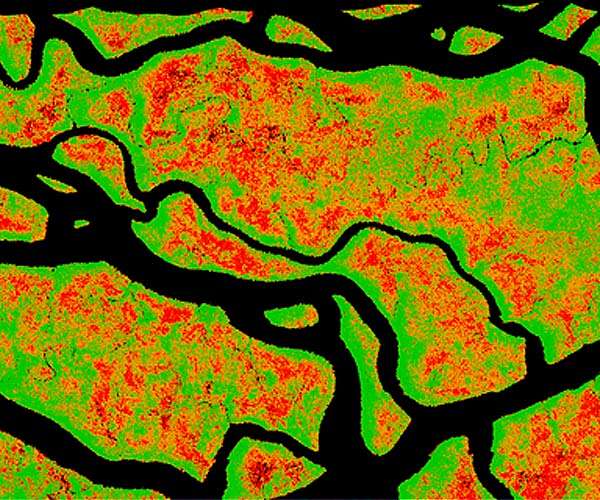 Climate change threatens the Everglades, Florida's gem