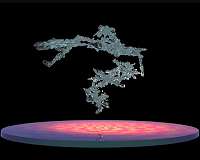 NASA Visualizes the Dance of a Melting Snowflake