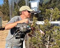 Drought-induced tree mortality accelerating in forests