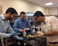 Researchers engineer thubber a stretchable rubber that packs a thermal conductive punch