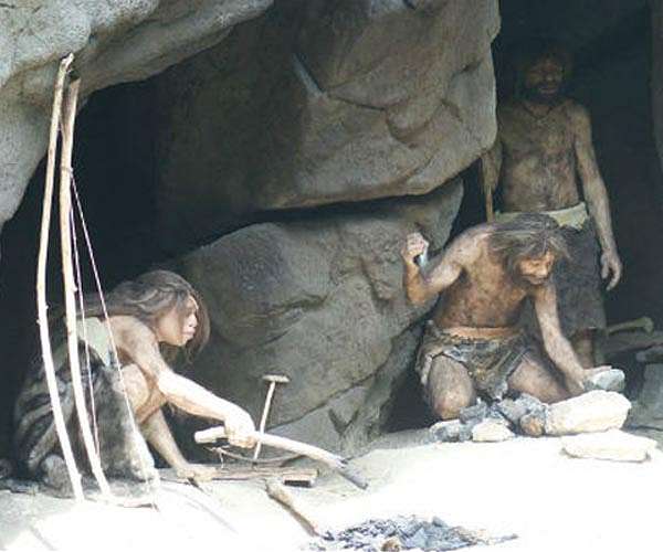 Some of our gut microbiota predates the human-Neanderthal split