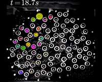 Gyroscopes lead scientists to unusual state of matter in a disorganized structure
