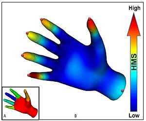 Genius of Einstein, Fourier key to new humanlike computer vision
