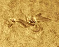 Are Sunspots Disappearing