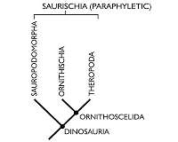 New study shakes the roots of the dinosaur family tree