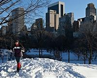 New York defends storm shutdown