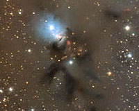 Astronomers Discover Youngest And Lowest Mass Dwarfs