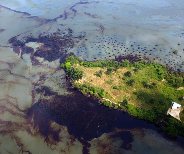 UNESCO announces 20 new biospheres in 21 countries