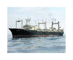Japan fleet set sail on Pacific whaling trip