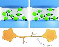 NIST's superconducting synapse may be missing piece for 'artificial brains'