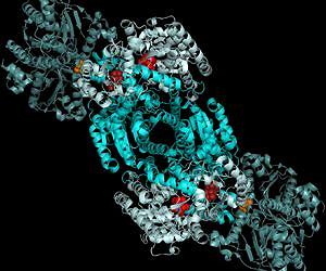 In an enzyme critical for life, X-ray emission cracks mystery atom