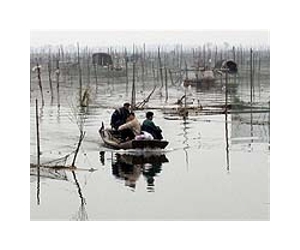 China points to farms as major pollution risk