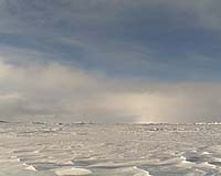 Monaco Prince Could Fly To North Pole On Russian Airship