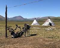Mongolia's ruling party wins parliamentary election in landslide