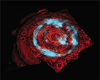 Cassini Finds Mysterious New Aurora On Saturn