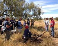 Satellite Data Help Australian Ranchers