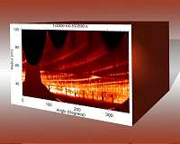 Surprise link found to edge turbulence in fusion plasma