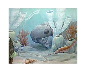 How the Burgess Shale Was Preserved