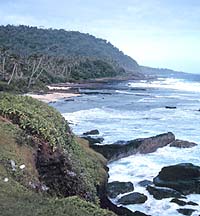 Climate Change Will Affect Carbon Sequestration In Oceans