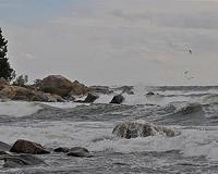 Ocean bacteria are programmed to alter climate gases