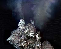 Sinkers Provide Missing Piece In Deep-Sea Puzzle