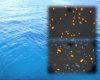Bacteria collaborate to propel the ocean 'engine'