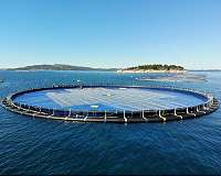 DNV GL verifies innovative floating solar design methodology for Ocean Sun