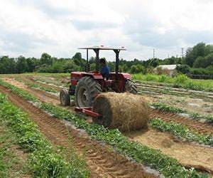New bale unroller design deemed effective