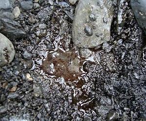 Slow Biodegradation Of Exxon Valdez Oil