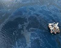Indonesian farmers launch class action over oil spill
