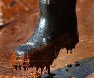 Spill threatens Florida's beaches, and tourism livelihood