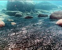 Marine microbes living beneath seabed resort to cannibalism
