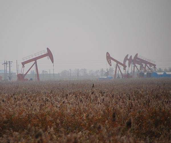 Record fossil fuel lobbyists as climate talks face off hardens