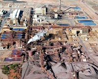 Tiny creatures prompt Australia to reject uranium mine