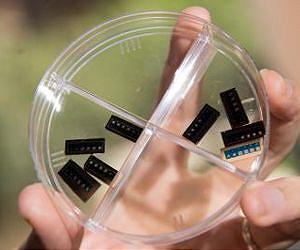 Silicon oxide memories transcend a hurdle