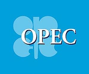 OPEC raises 2011 world oil demand growth forecast