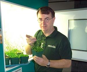 Engineered Plants Make Potential Precursor To Raw Material For Plastics