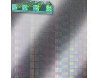 Researchers develop new method to program nanoparticle organization in polymer thin films