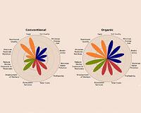 Organic agriculture key to feeding the world sustainably