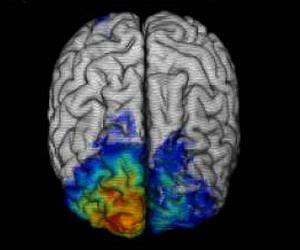 Precisely engineering 3-D brain tissues
