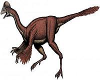 Paleontologists announce discovery of Anzu wyliei