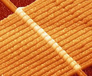 Memristors based on transparent electronics offer technology of the future