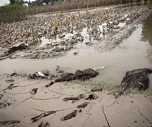 Landslides kill more in flood-hit Pakistan